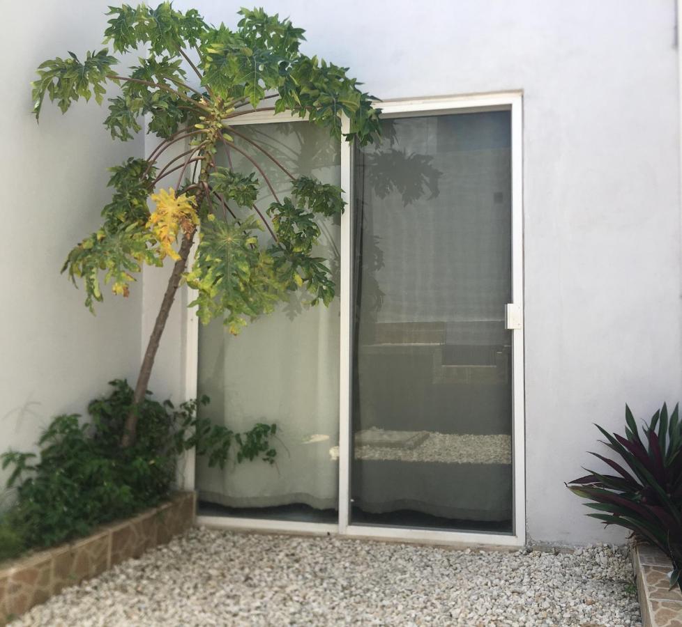Green Lofts Κανκούν Εξωτερικό φωτογραφία