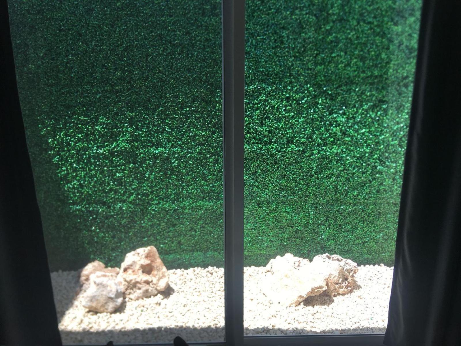 Green Lofts Κανκούν Εξωτερικό φωτογραφία